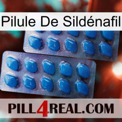 Pilule De Sildénafil viagra2